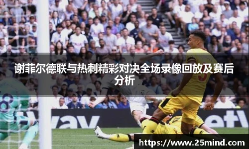 谢菲尔德联与热刺精彩对决全场录像回放及赛后分析